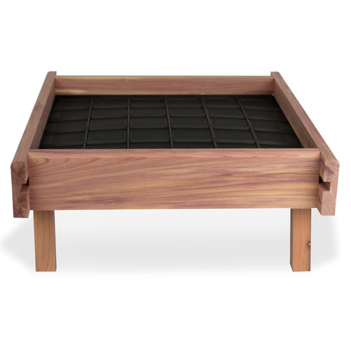 Red cedar wild - red,